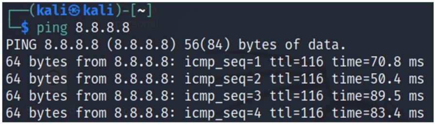 6. Configurando NAT y DMZ