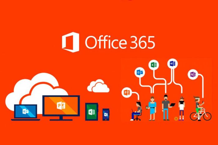 office365